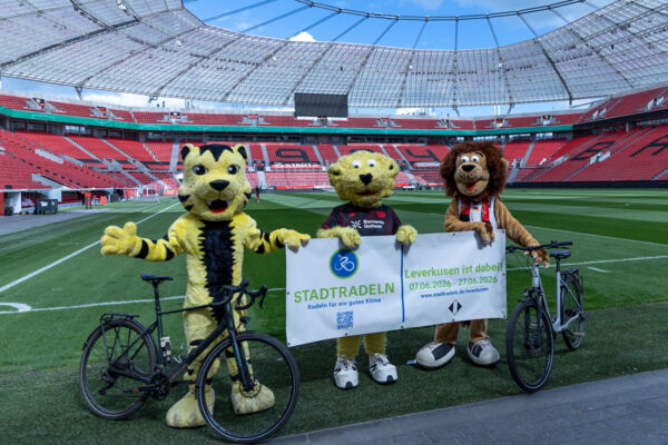 Tiger Paule, Brian the Lion und Lionel freuen sich aufs Stadtradeln. Foto: Heuser