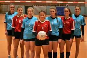 Die Faustballerinnen sind mehr denn je gefordert.