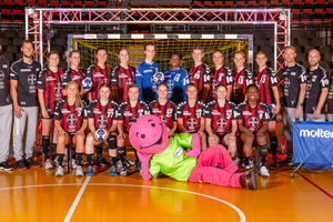 Die Handball-Elfen empfangen am Sonntag den Buxtehuder SV.